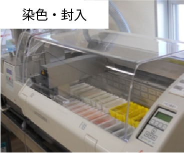 レポート作成の手順