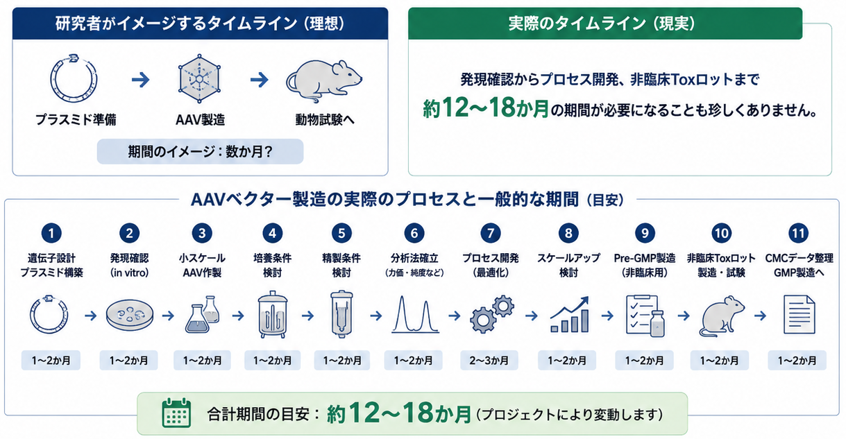 プロセスと期間の説明