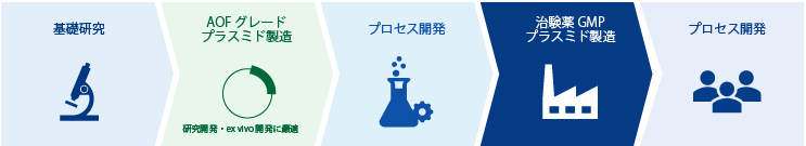 開発ステージごとのプラスミド活用イメージ（基礎研究、AOFグレード、プロセス開発、治験薬GMP、臨床試験）