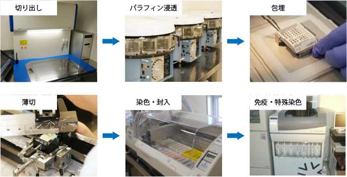 病理標本病理診断 | メディリッジ株式会社