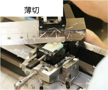 データ検証の手順