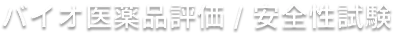 バイオ医薬品評価/安全性試験